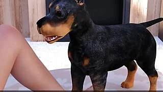 xnxx 41